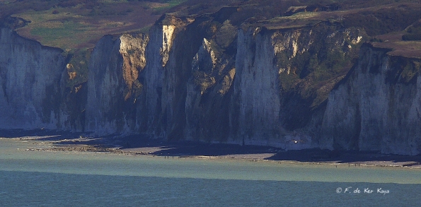 Falaise Varengeville (4)